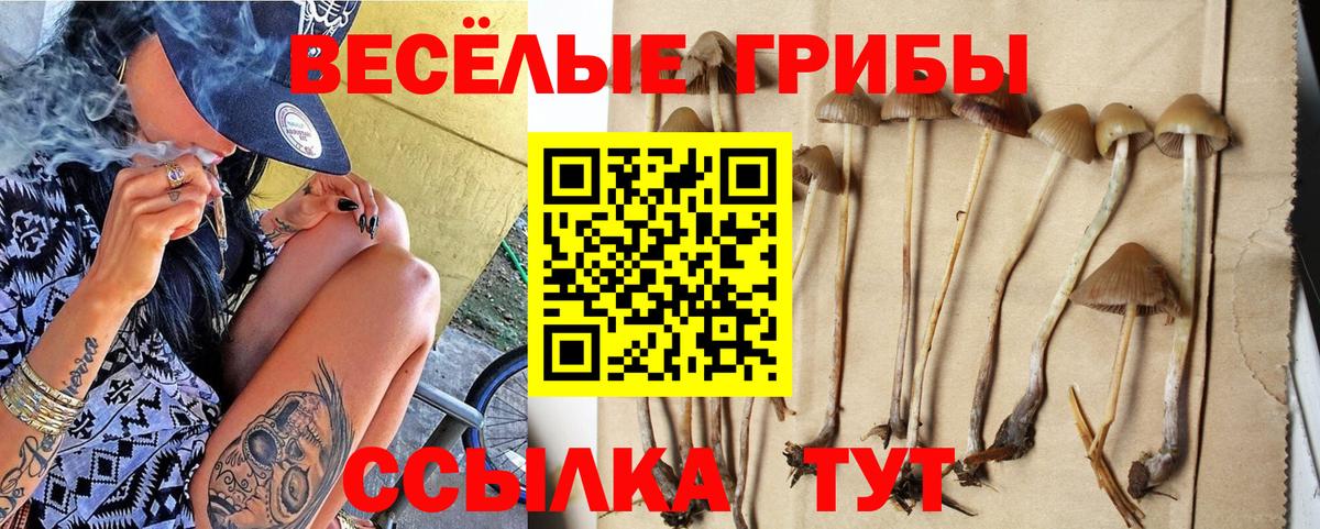 Северск  Псилоцибиновые грибы MAGIC MUSHROOMS  как найти наркотики  Вход с VPN 