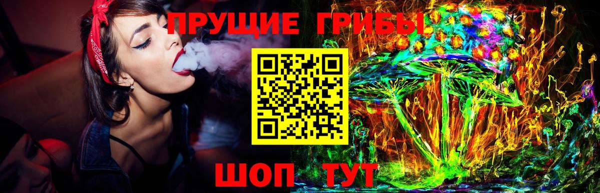 Галлюциногенные грибы Psilocybine cubensis Северск